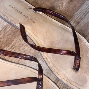 Tortoise flip flops